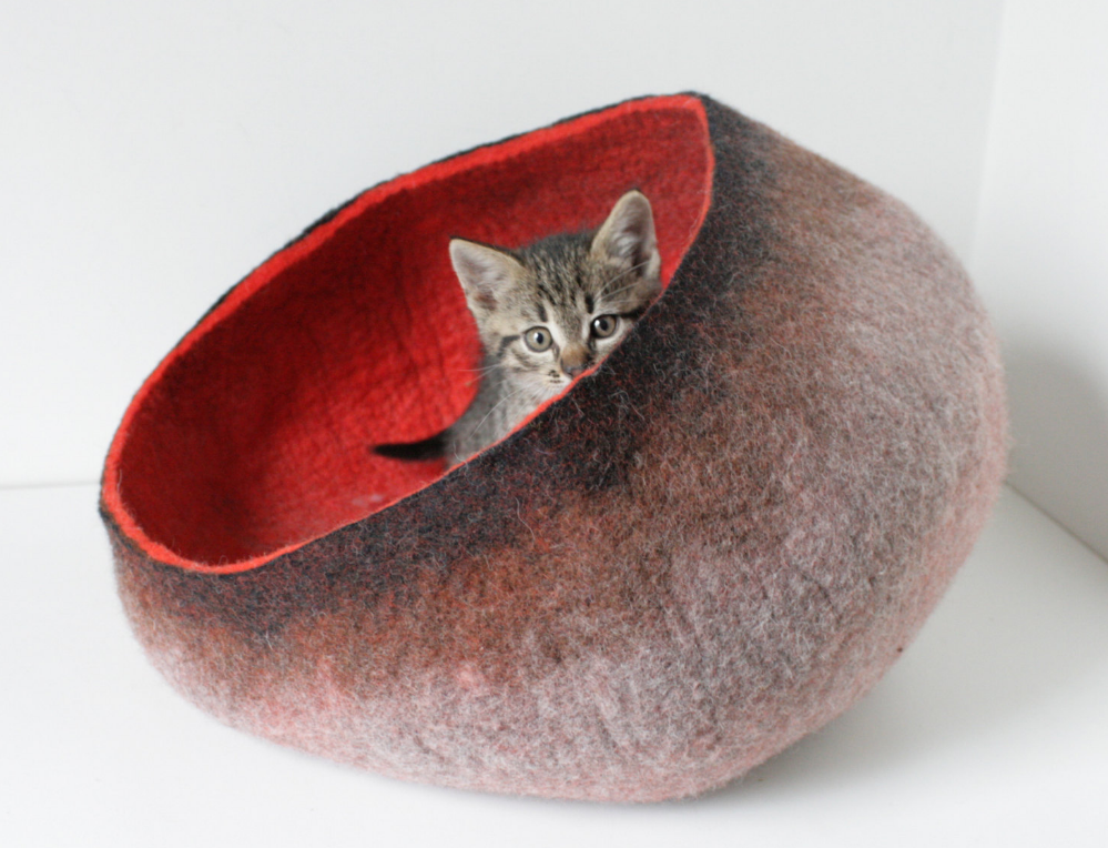 6 Amazing Cat Beds for Your Apartment